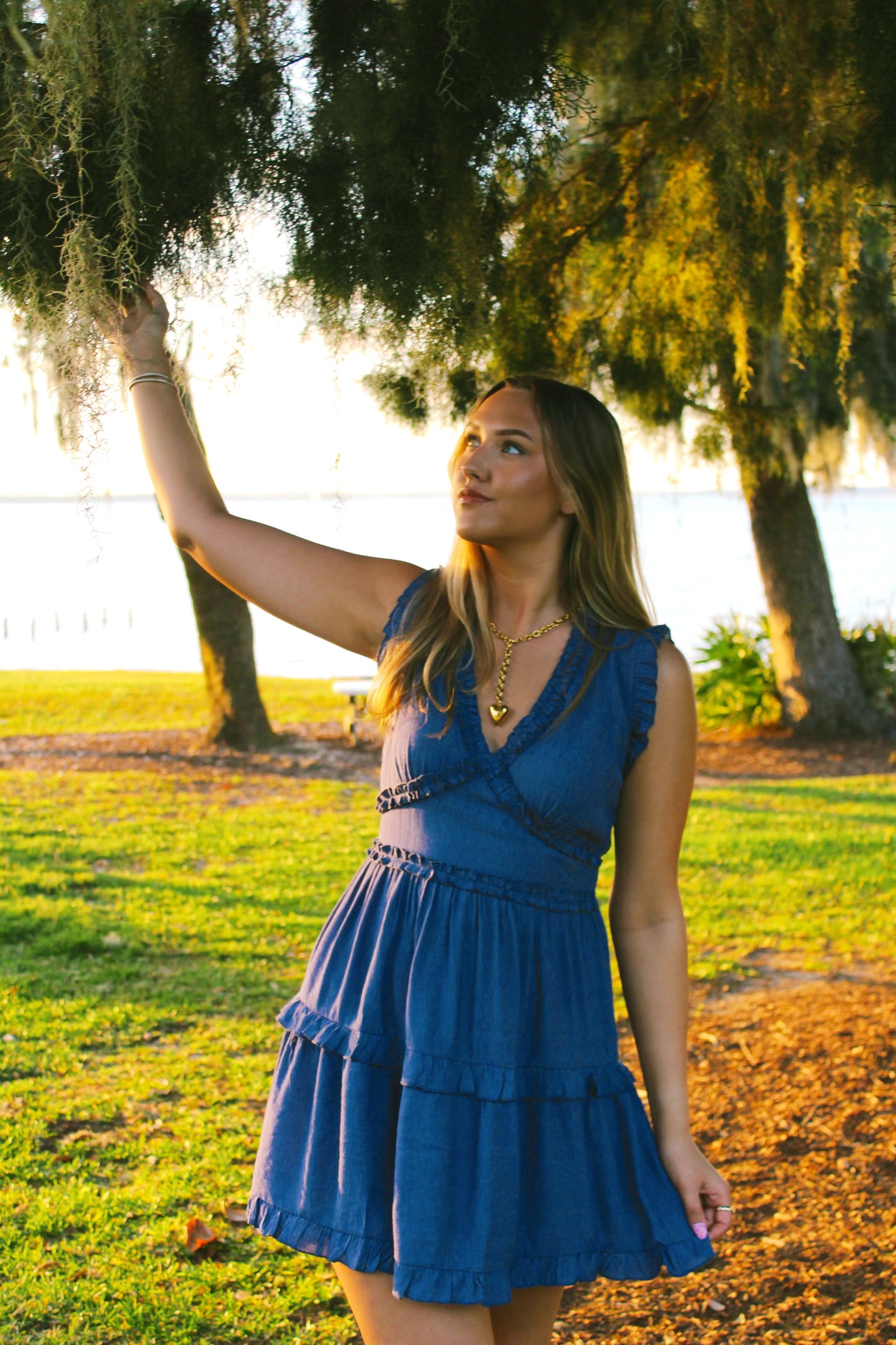 Daphne short dress