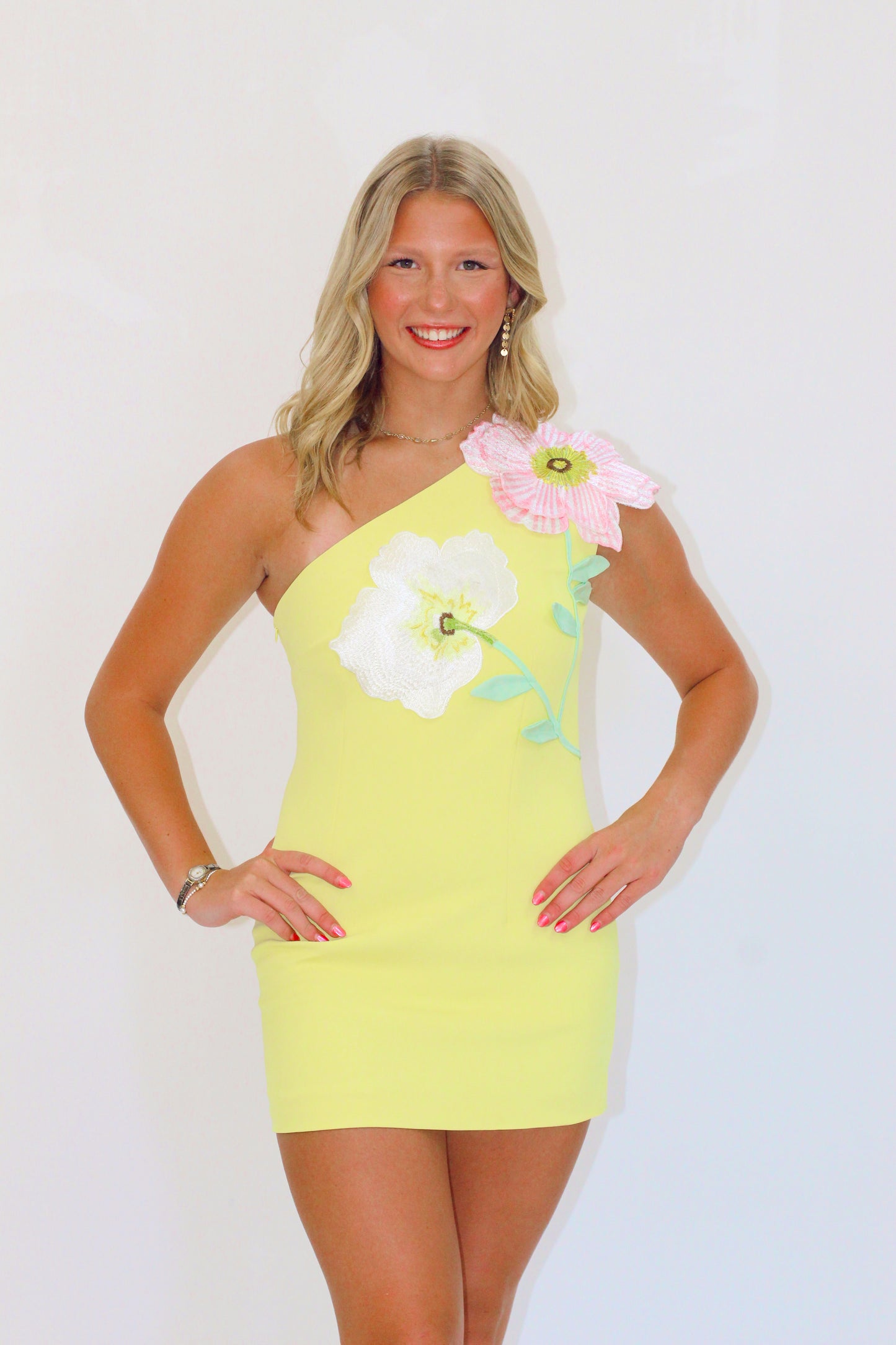 Lemine Dress