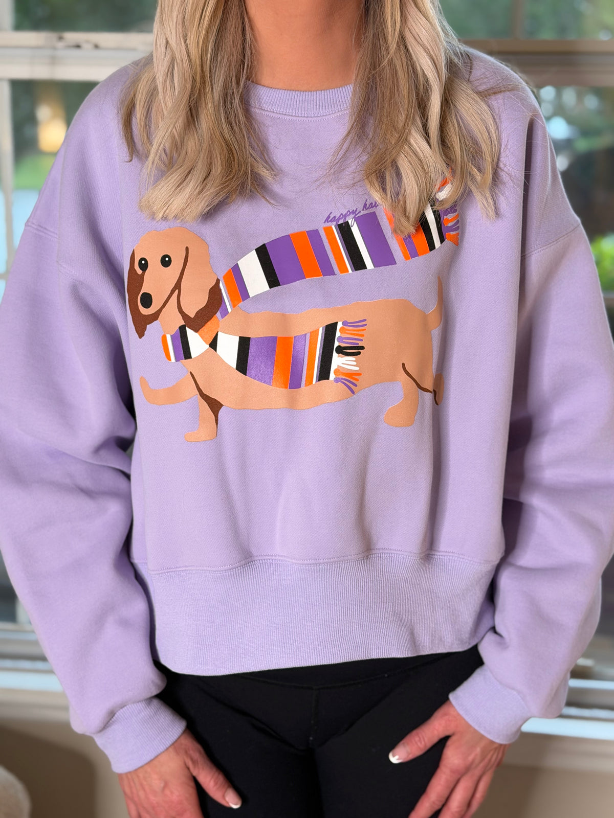 Halloweenie Sweatshirt