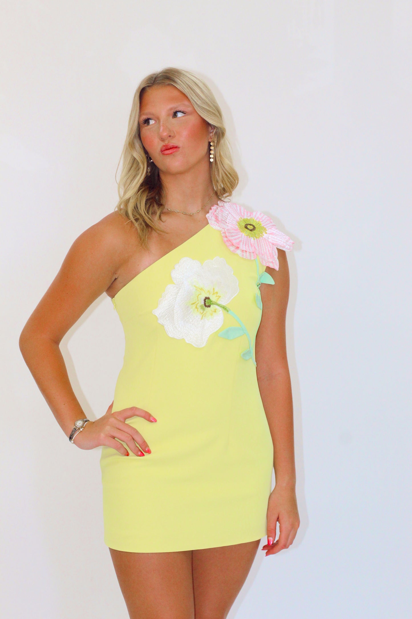 Lemine Dress
