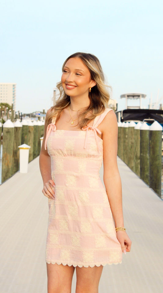 Pink Picnic Dress