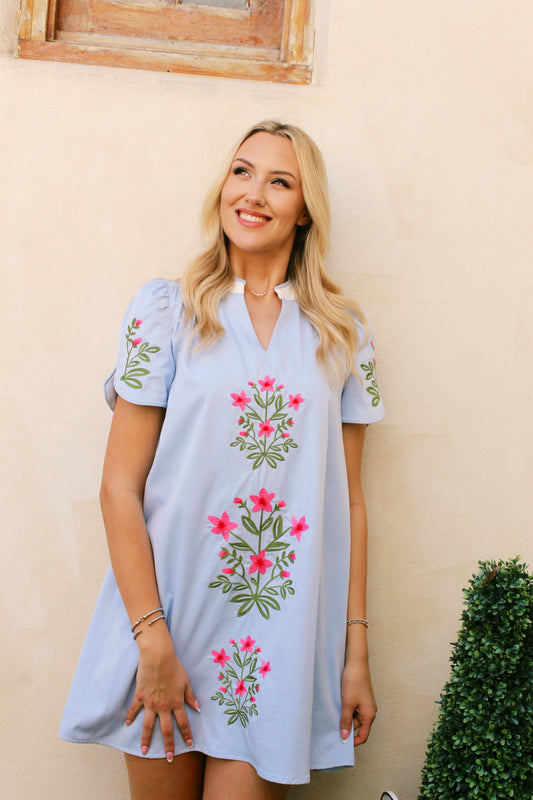 Blue Garden Gate Dress